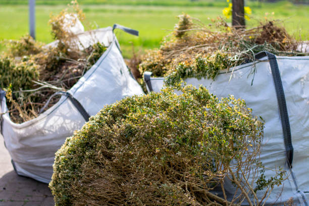 Best Residential Junk Removal  in Howard Lake, MN